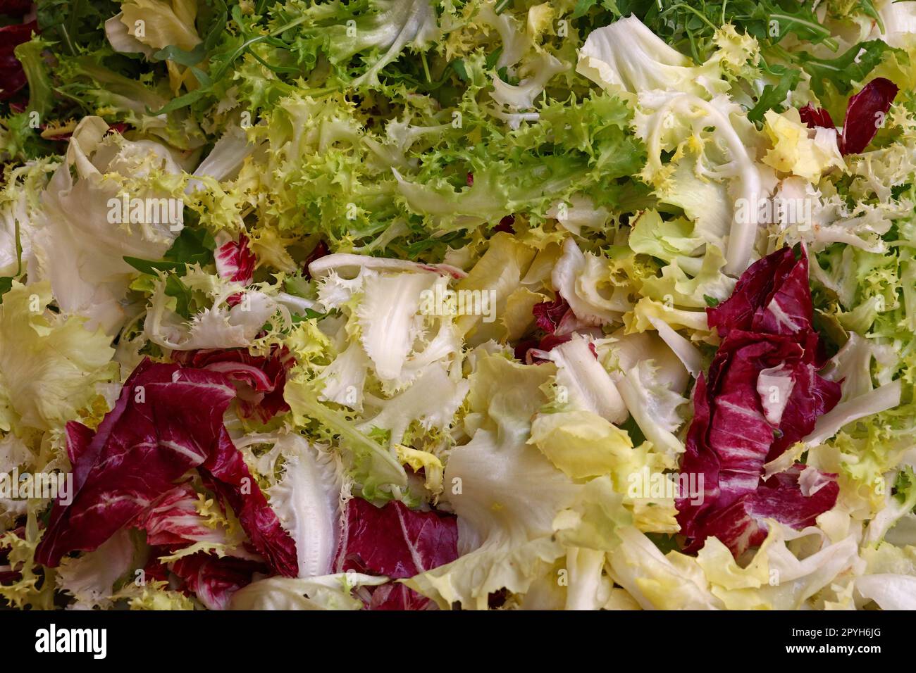 Close up view fresh lettuce hi-res stock photography and images - Alamy