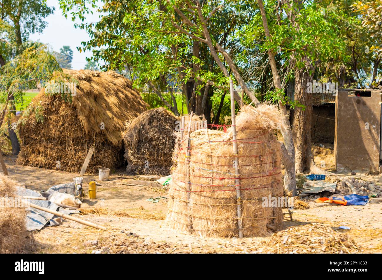A hayloft hires stock photography and images Alamy