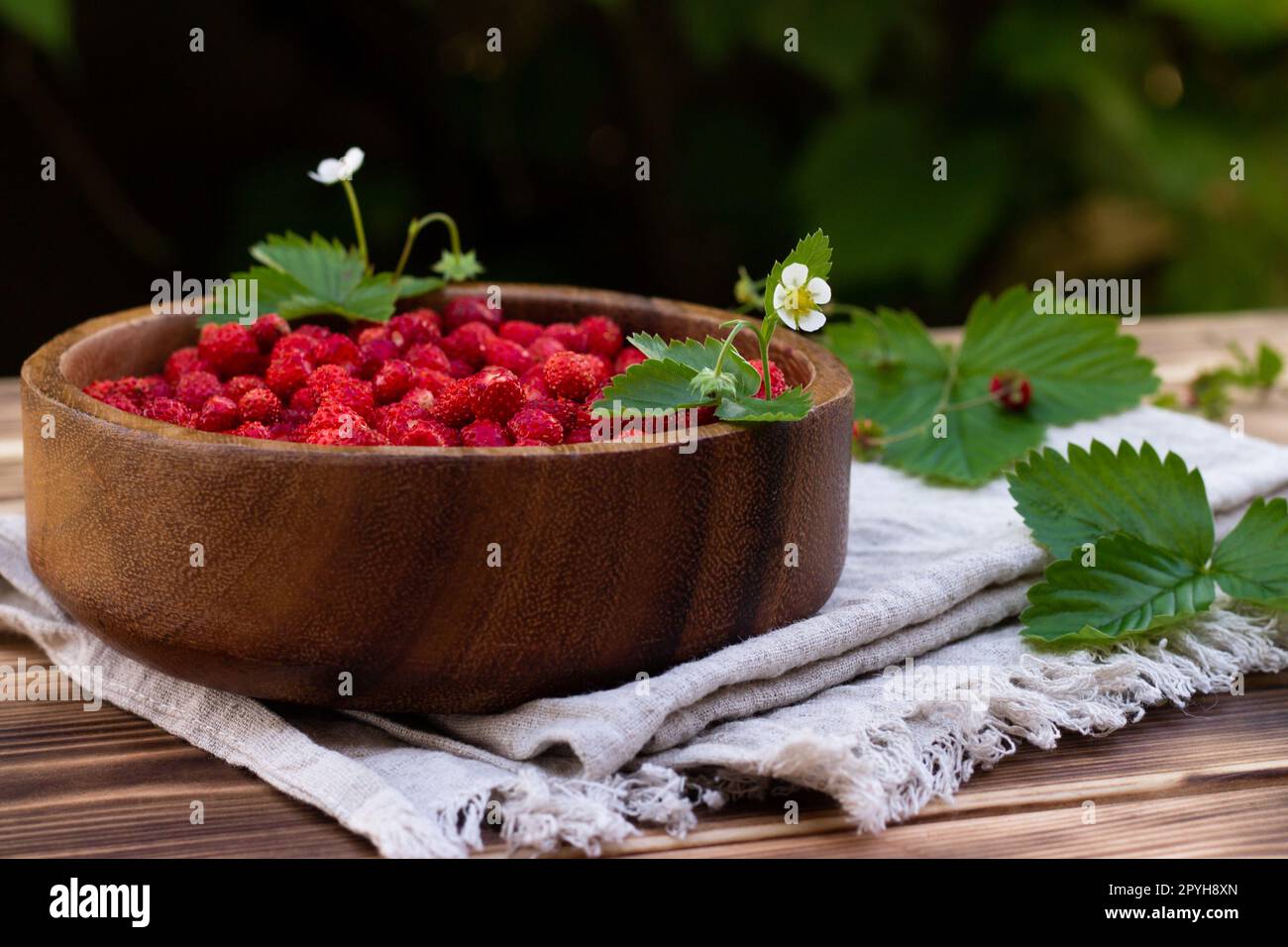 Wild red berry hi-res stock photography and images - Alamy