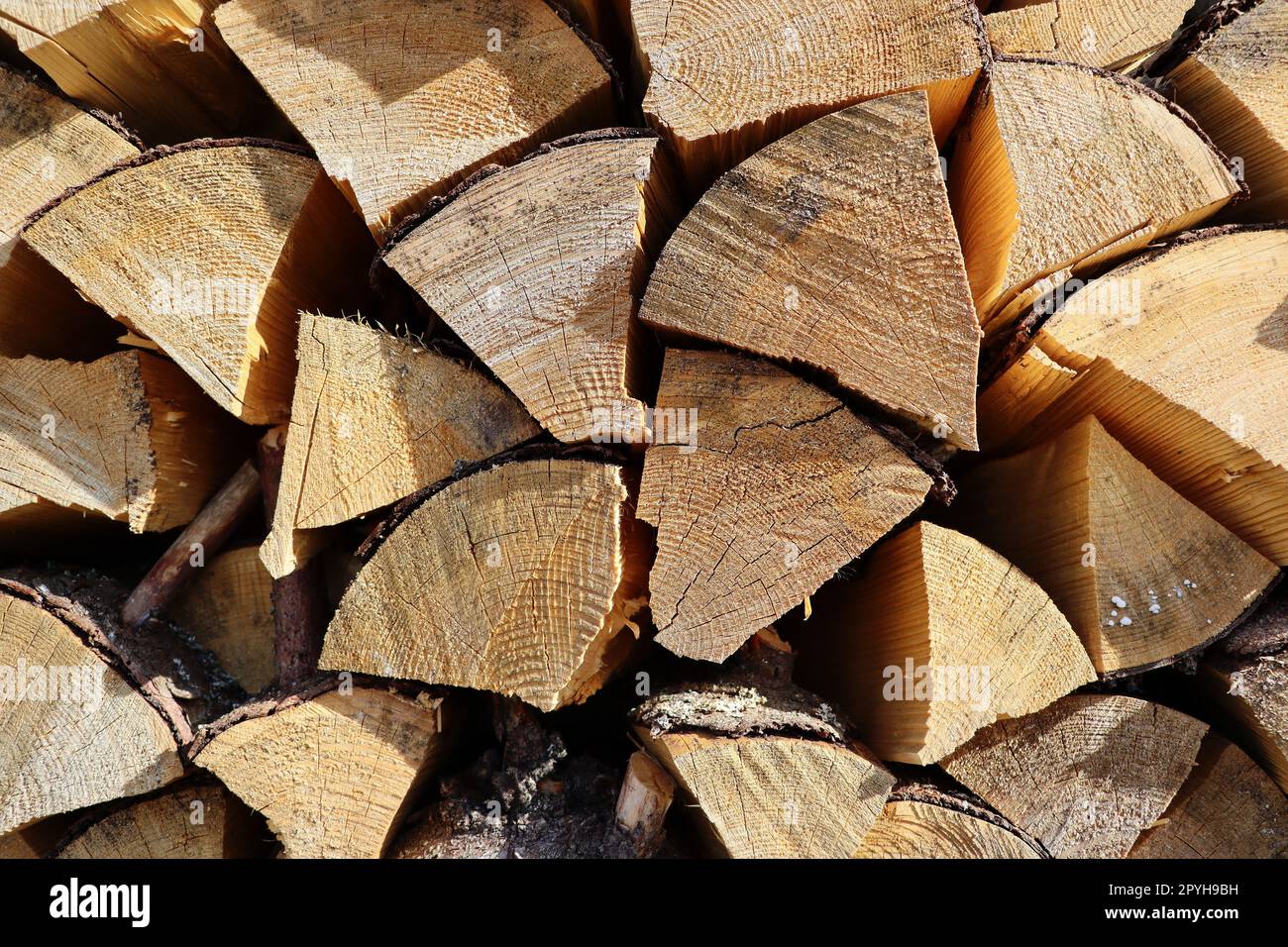 Chopped and stacked up dry firewood at the countryside. Stock pile of