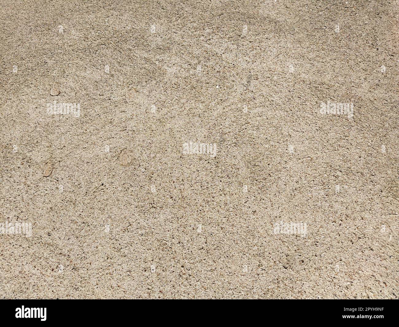 Concrete surface with multi-colored blotches of small stones. Light beige tone. Wall of a building or concrete slab. Close-up. Pockmarked cement surface. Interior option Stock Photo