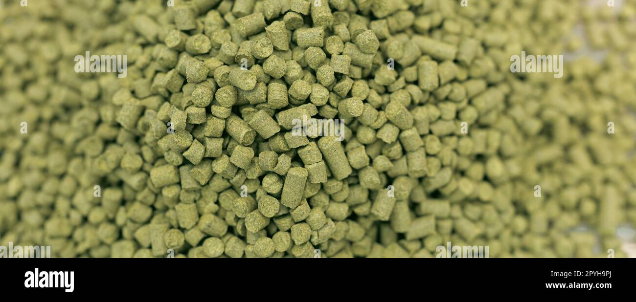 granulated hops for beer production. brewing beer in a brewery. banner ...