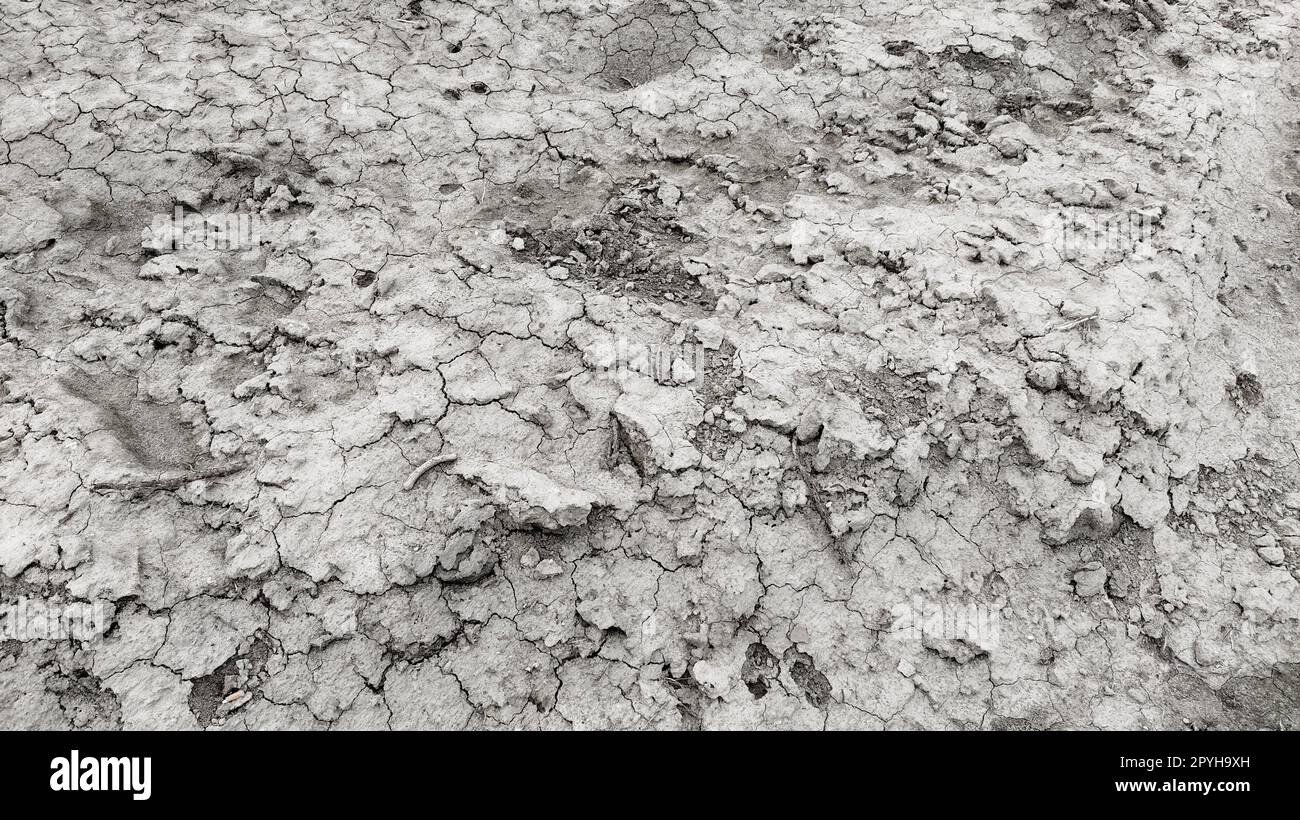 Wet clay soil hi-res stock photography and images - Alamy