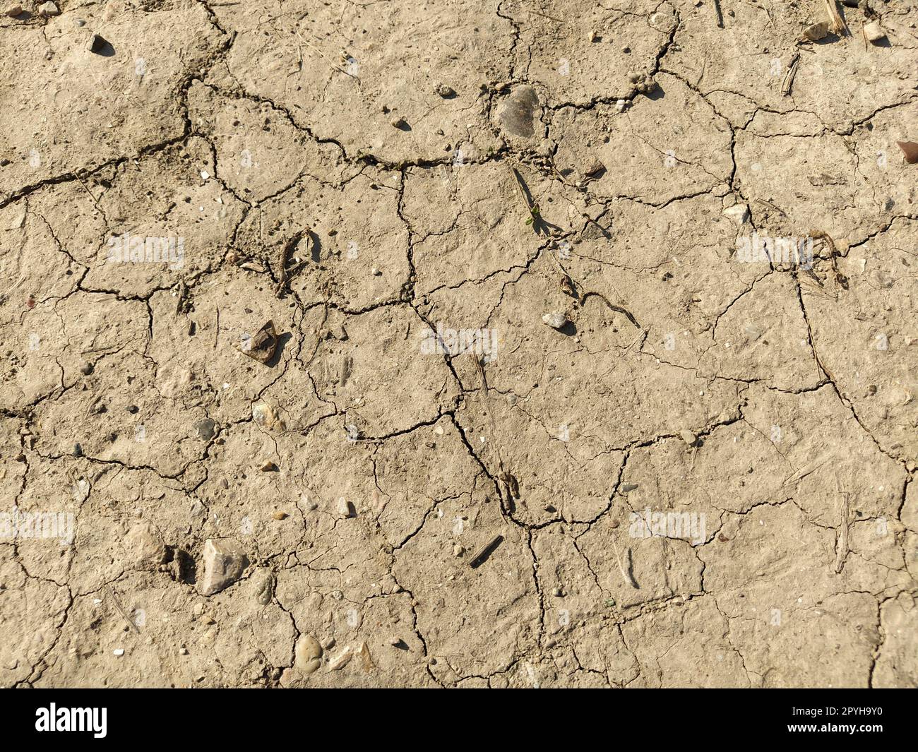 Cracked soil background dry texture hi res stock photography and images