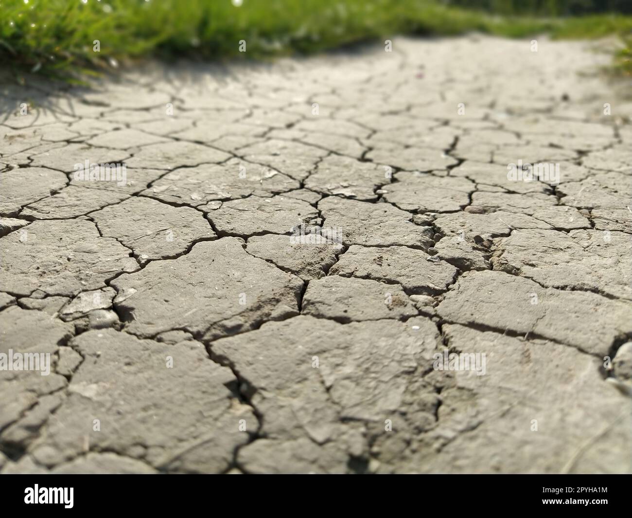 Cracked Sidewalk in Urban Area. Cracked dirt road with cracks in the clay structure of the soil. On the sides of the photograph are defocused green plants. Soft focus Stock Photo