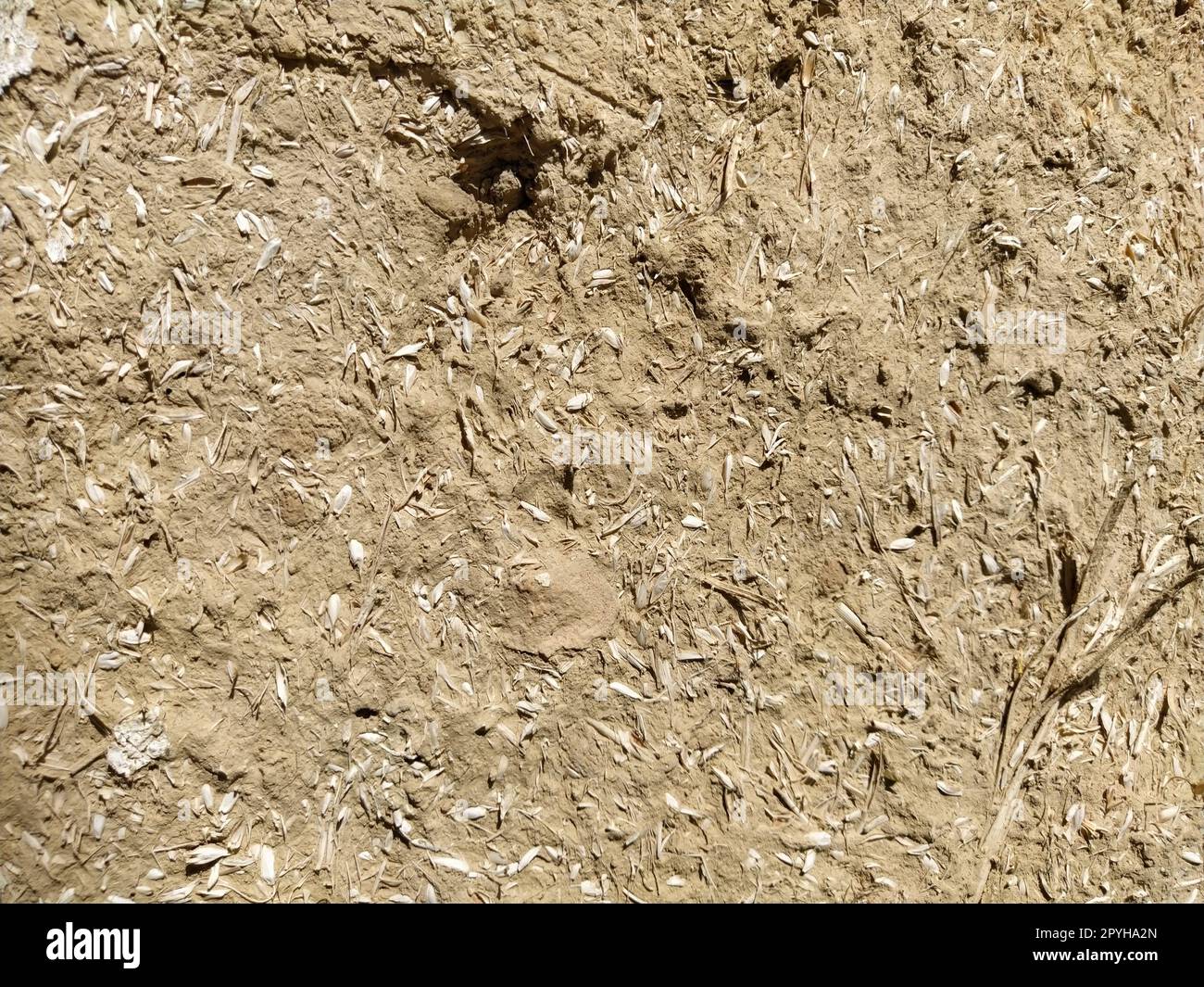 Close-up background of the wall of an old house made of clay mixed with straw. Old type of construction. Clay wall of straw and mud. Manure mixed with clay and dried as building material Stock Photo