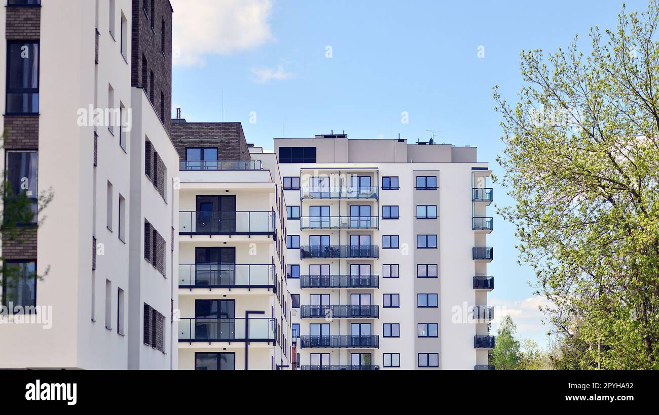 Picture of The Ultimate Guide To Eco-Friendly Apartment Living
