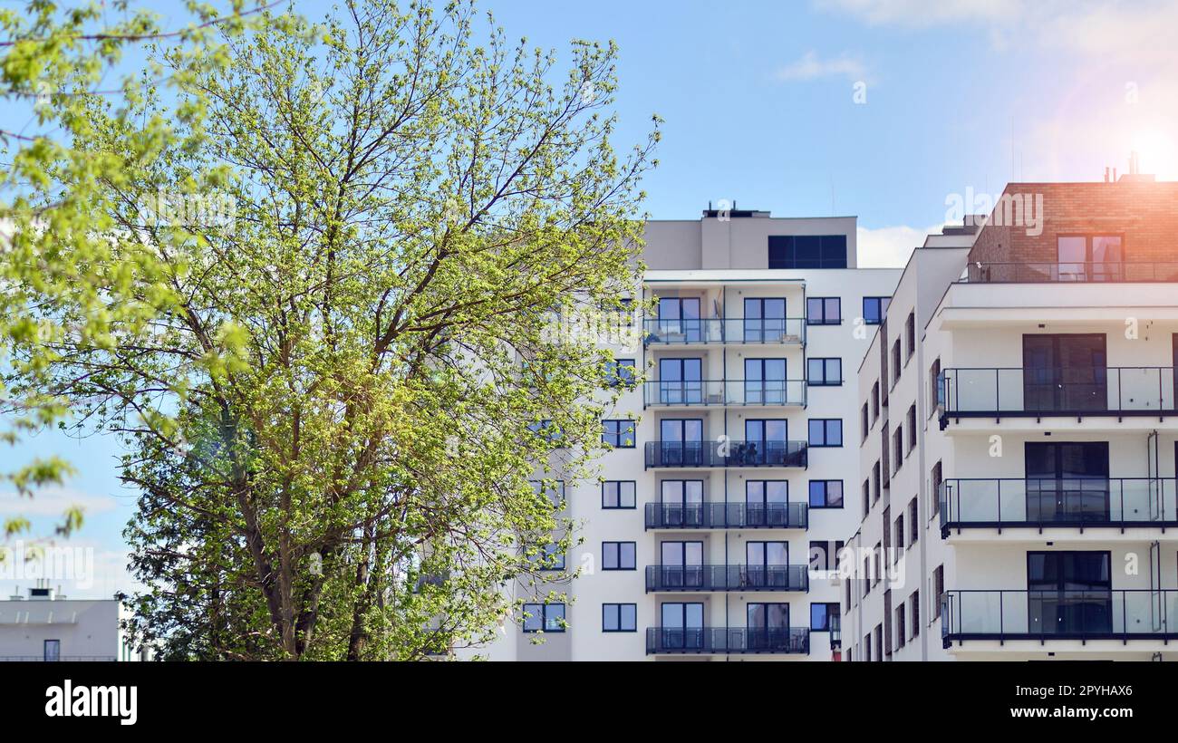 Image showcasing 11 Eco-Friendly Apartment Modification Hacks | TurboTenant