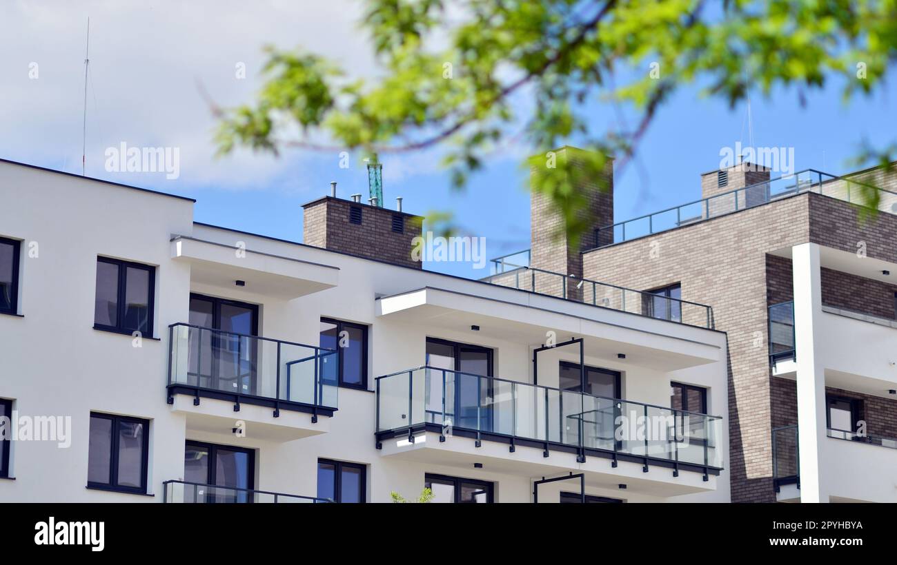 Image showcasing The Complete Guide to Eco-Friendly Apartment Living