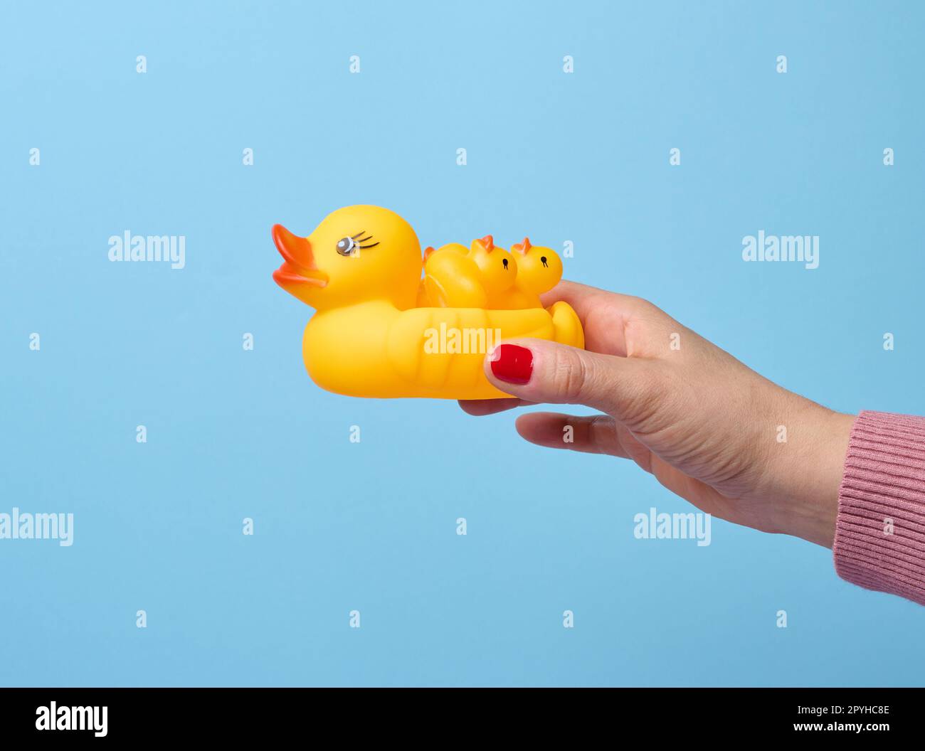 A woman's hand holds a yellow rubber duck on a blue background, a bath toy Stock Photo