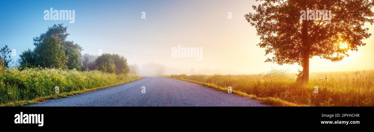 Sunrise in the foggy morning on the empty asphalt country road. Stock Photo