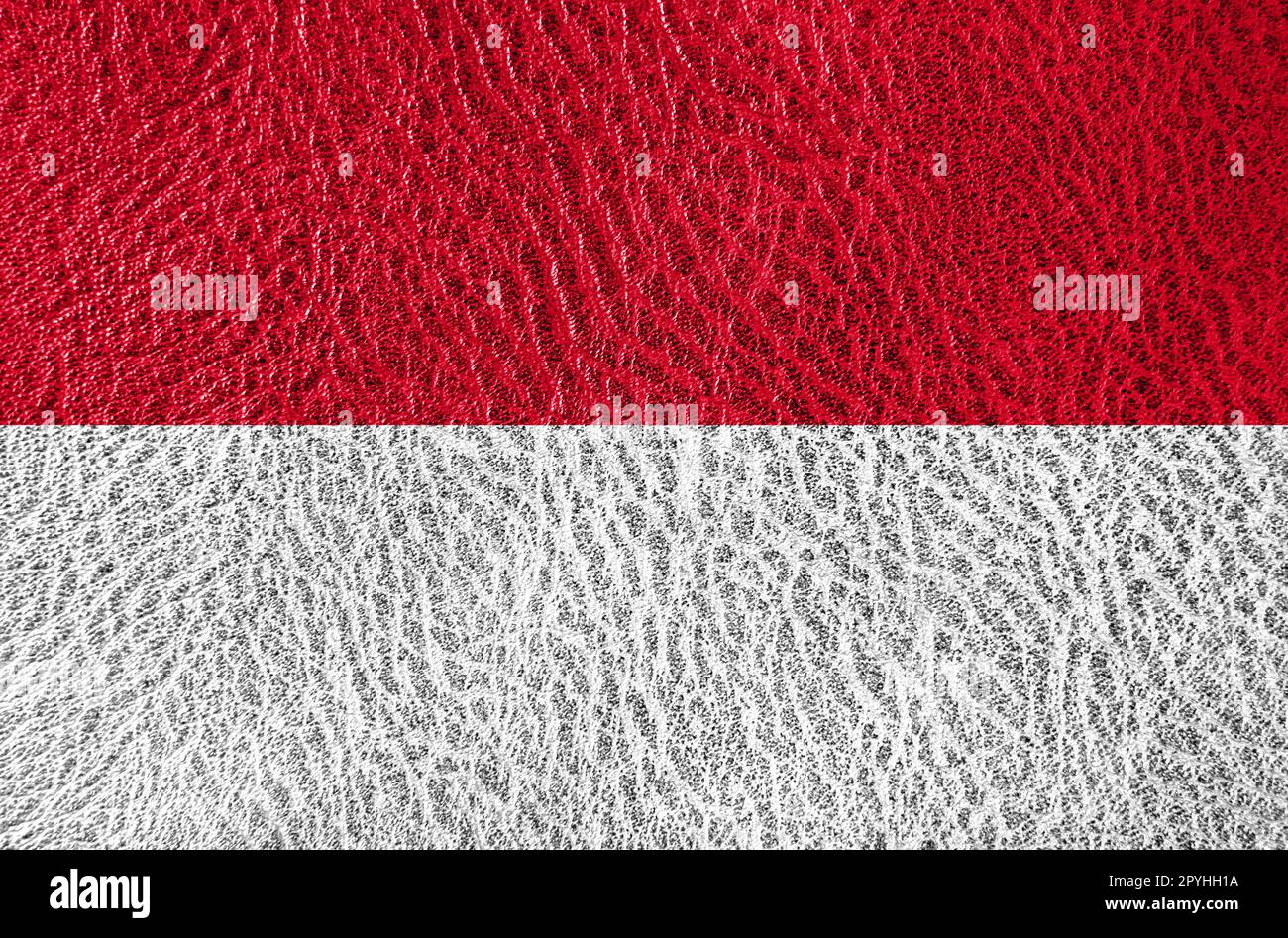 abstract leather texture with the flag Stock Photo