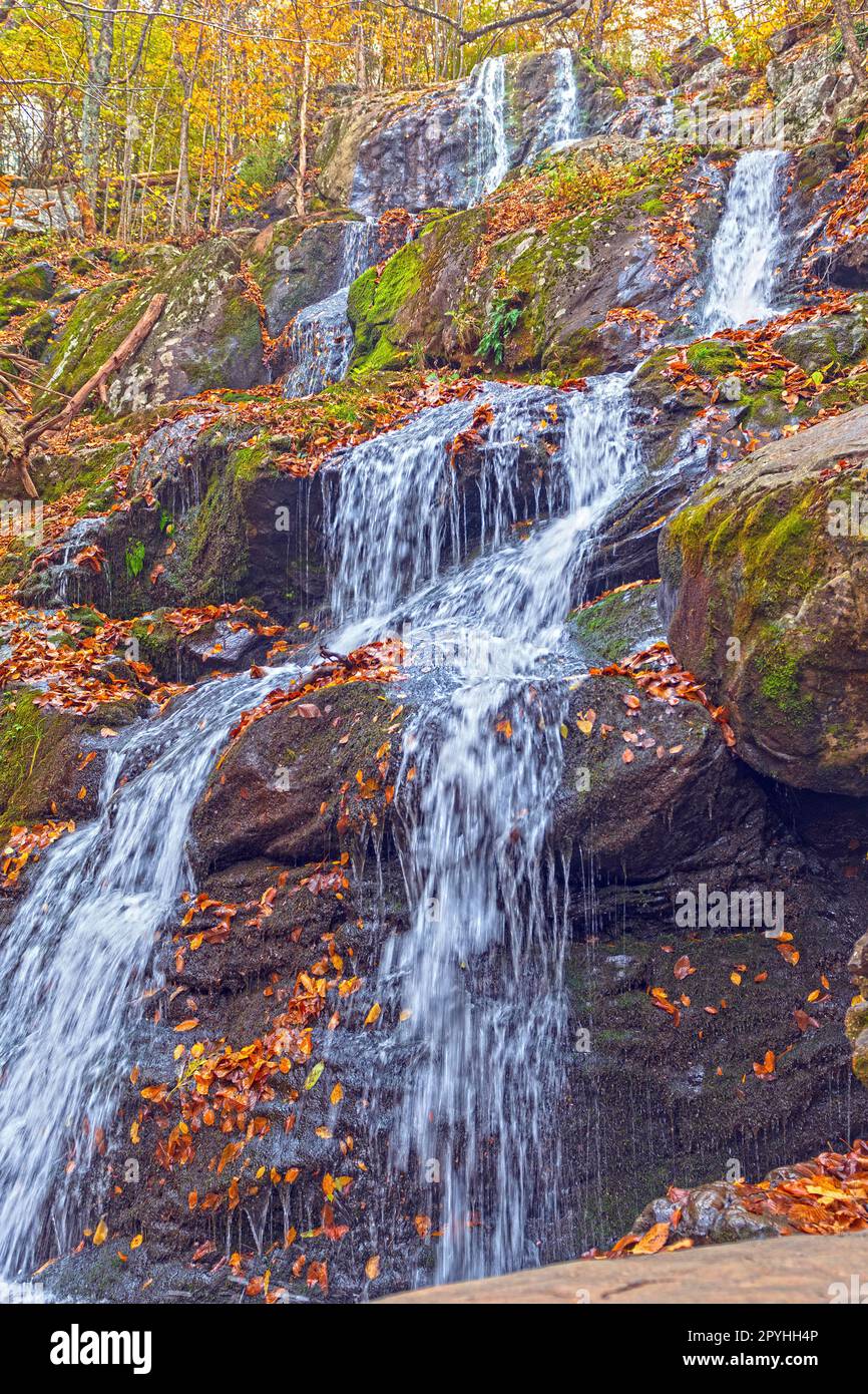 Mountain Cascade in the Autumn Stock Photo