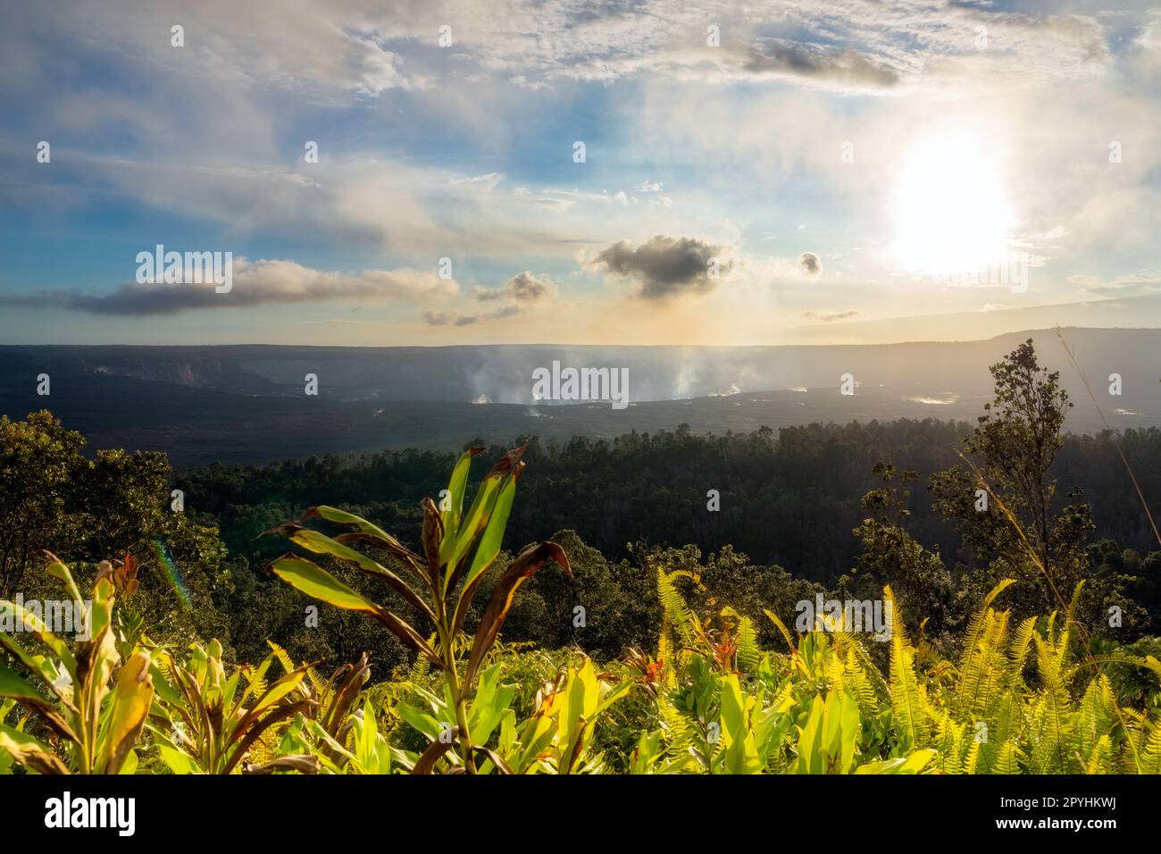 Oceanfront hawaii hi-res stock photography and images - Alamy