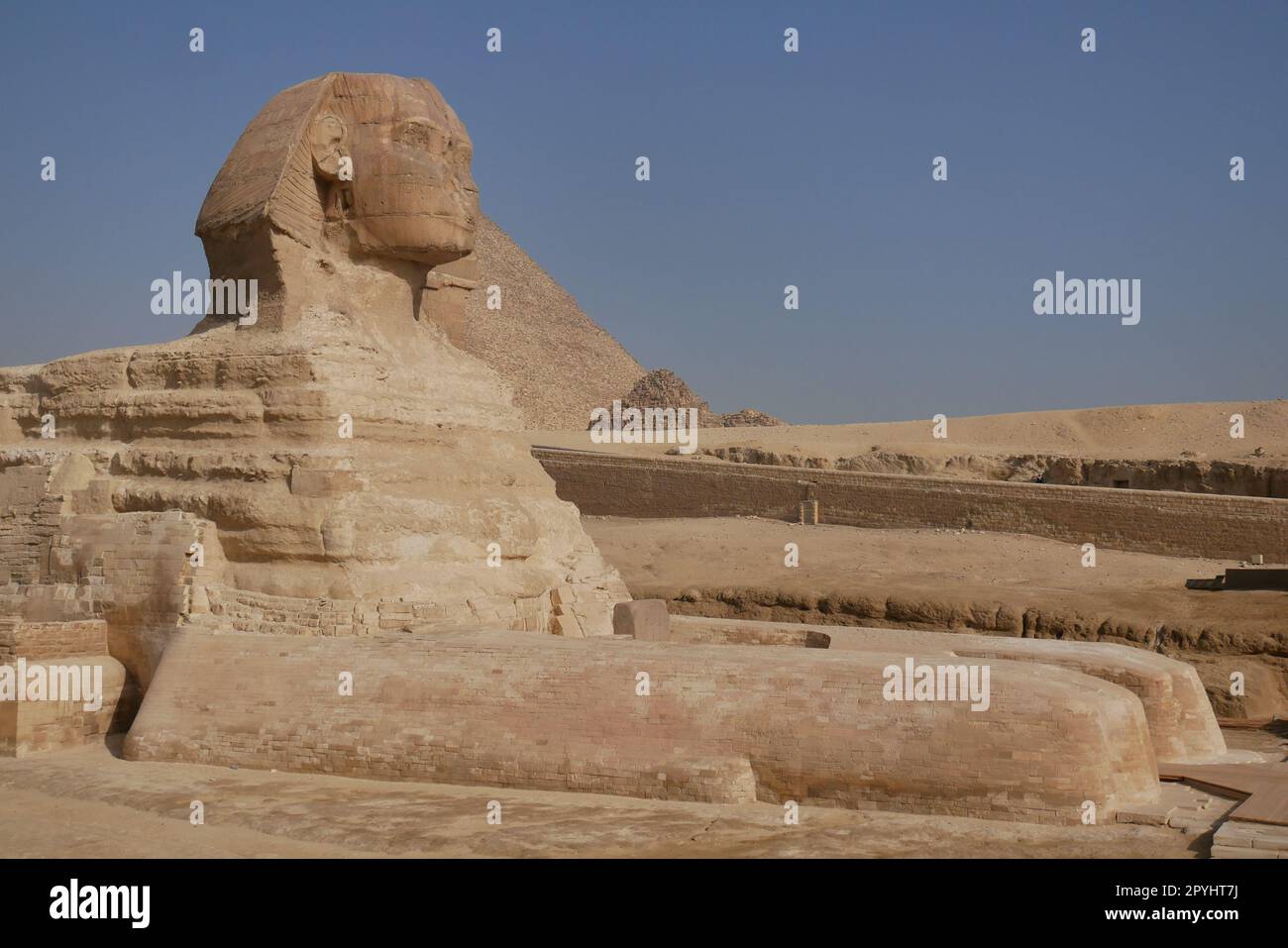 Side on view of the Sphinx with the Great Pyramid in the background in ...