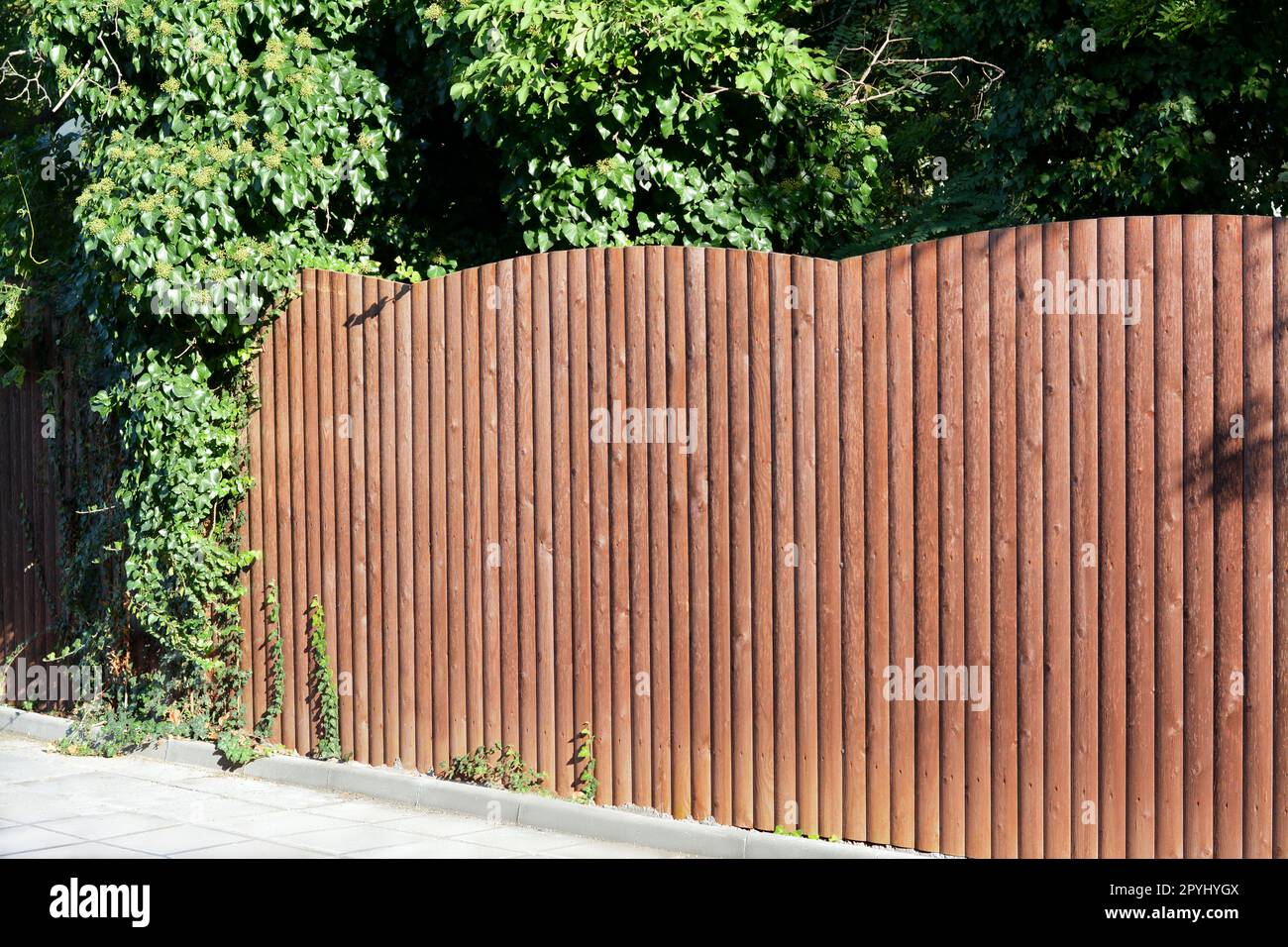 Wooden fence near trees on sunny day outdoors Stock Photo - Alamy