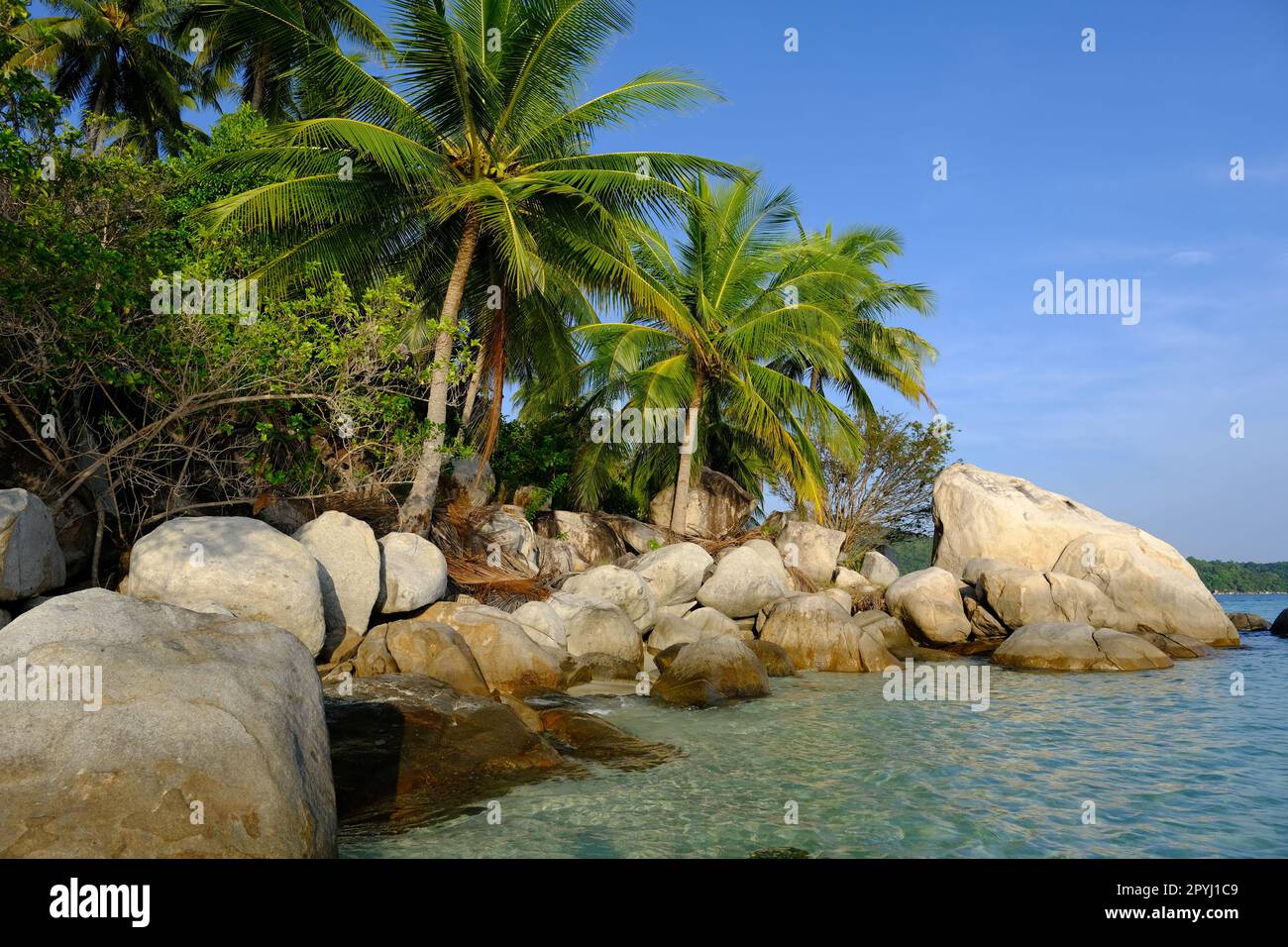 Indonesia Anambas Islands - Telaga Island coast with rocks and palm trees Stock Photo