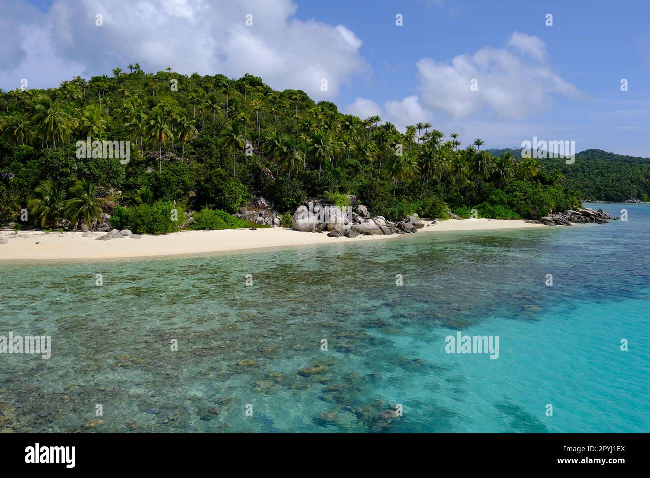 Indonesia Anambas Islands - Telaga Island coast with rocks and palm trees Stock Photo
