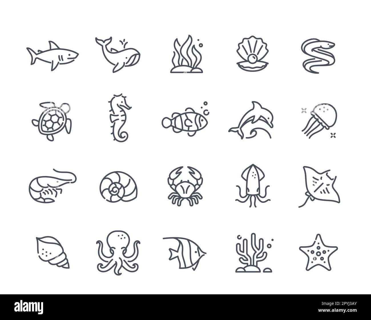 Sea inhabitants icons Stock Vector Image & Art - Alamy