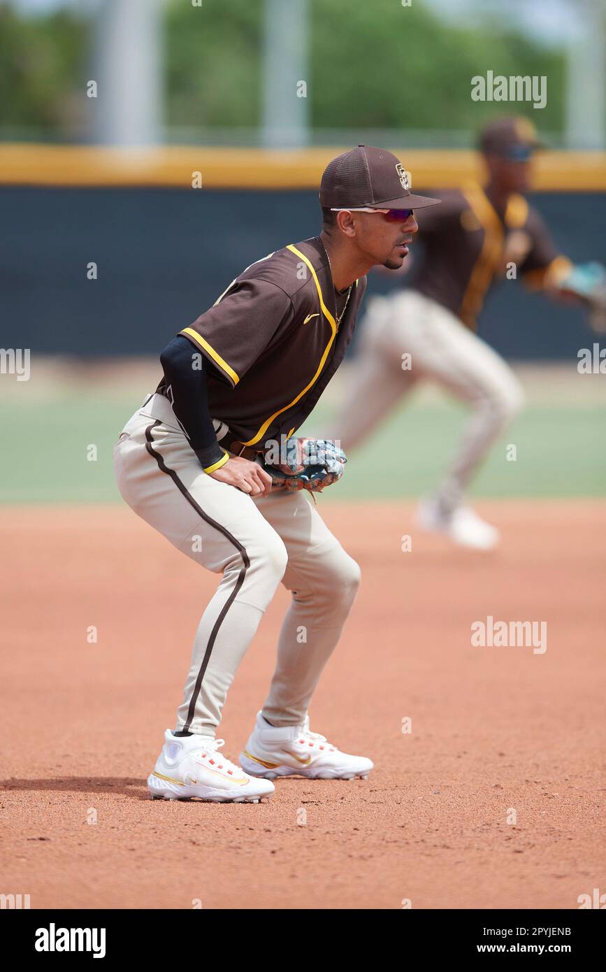 Third baseman Jake Perez (84) of the San Diego Padres during an