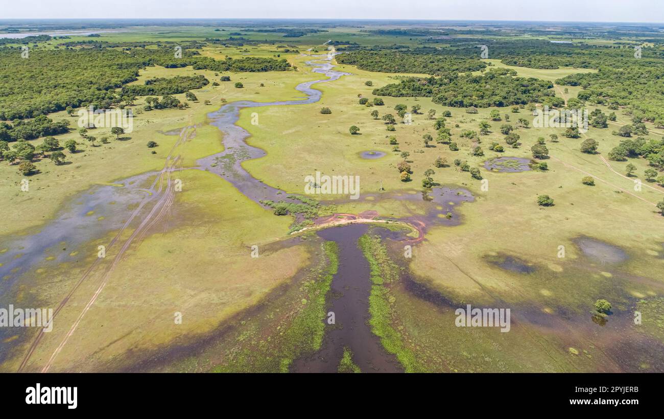Aerial View Of Typical Pantanal Wetlands Landscape With Lagoons Rivers aerial-view-of-typical-pantanal-wetlands-landscape-with-lagoons-rivers