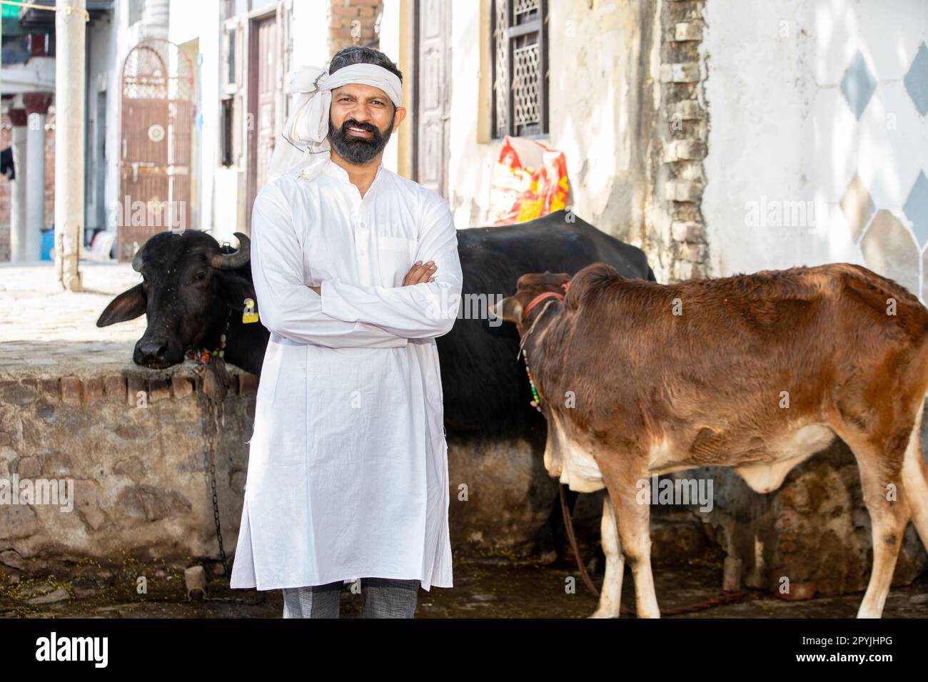 Portrait of young male indian cattle farmer standing cross arms, People