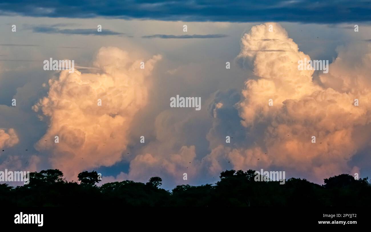 Sky with towering clouds in the evening light Stock Photo