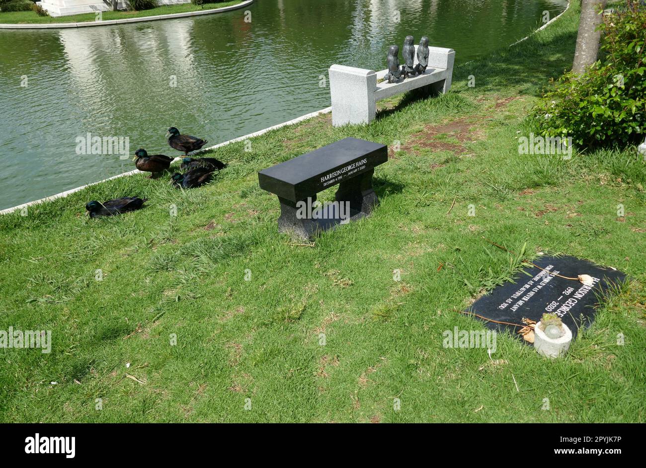 Harry hains hi-res stock photography and images - Alamy