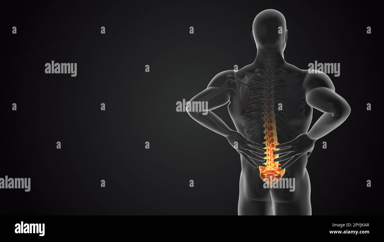 Lower back joint pain medical concept Stock Photo Alamy