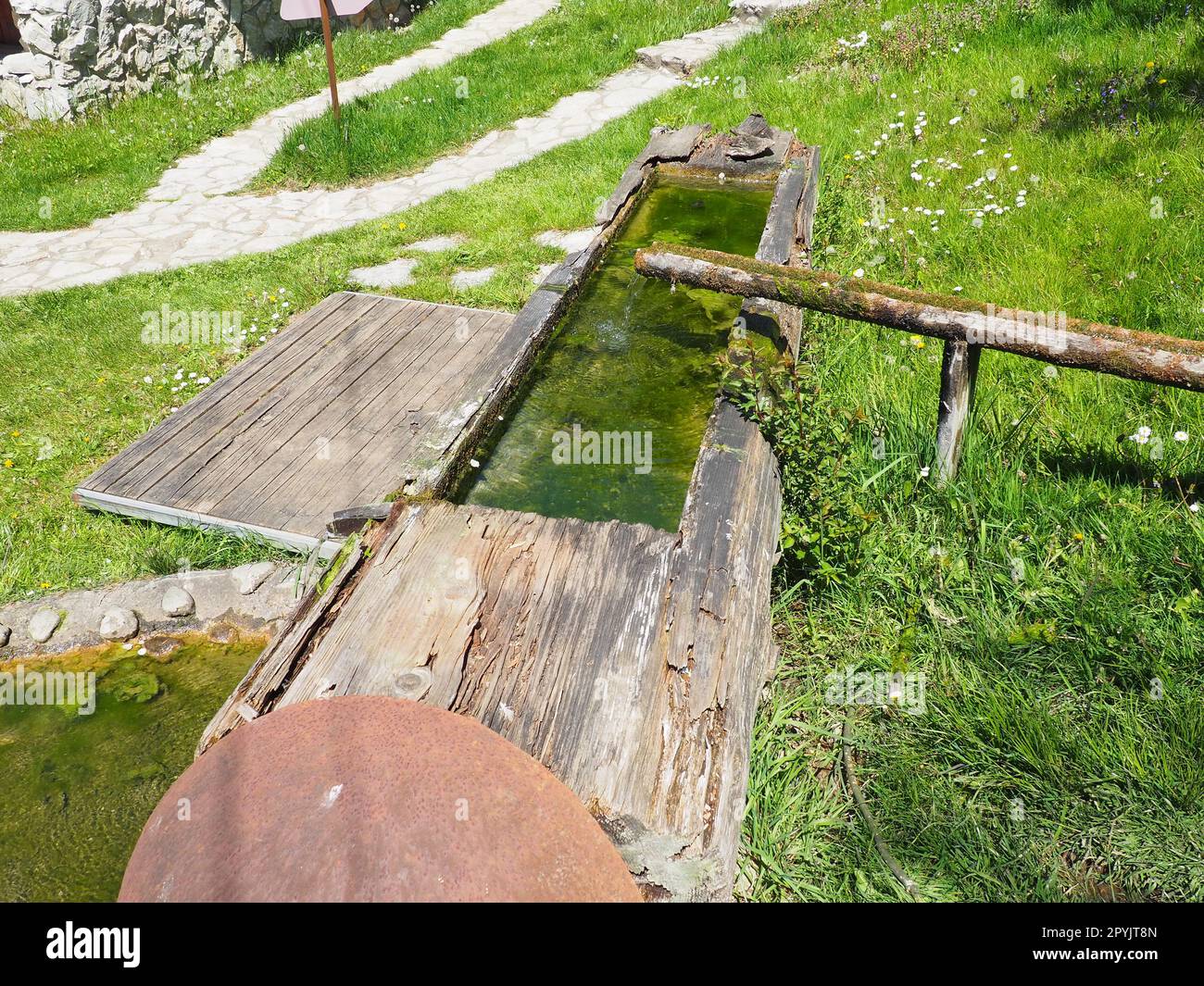 Wooden water trough or livestock drinker. A hewn or hollowed-out log used in rural life. Hollow wooden gutter for water supply. Metal cover of the well and wooden walkways. Green grass on the lawn Stock Photo
