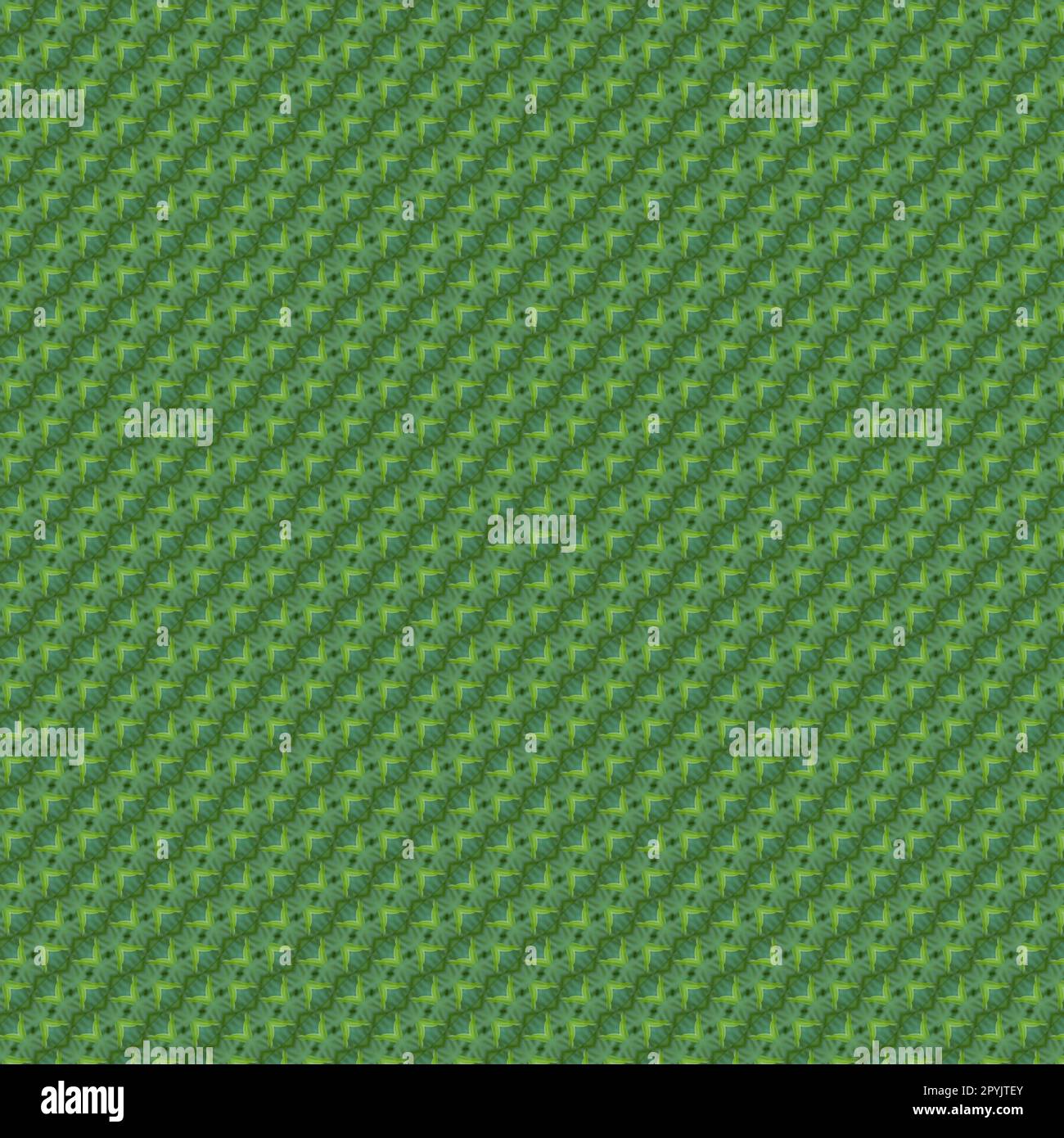 Abstract pattern of the green flora Stock Photo