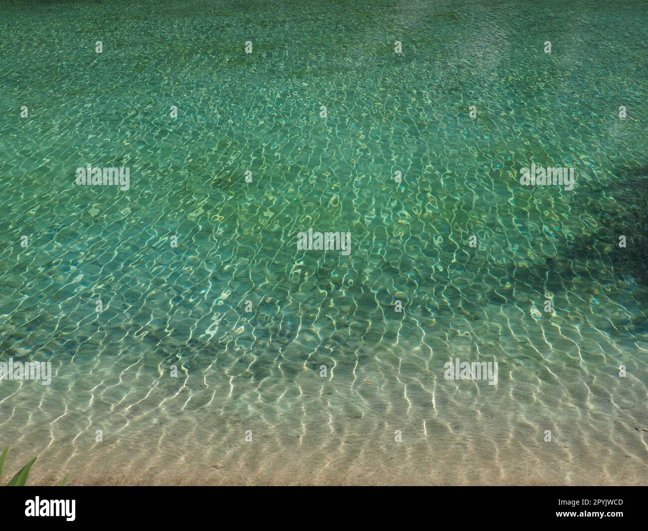 turquoise water. Clear sea water with waves and sun glare. The bottom is visible Stock Photo