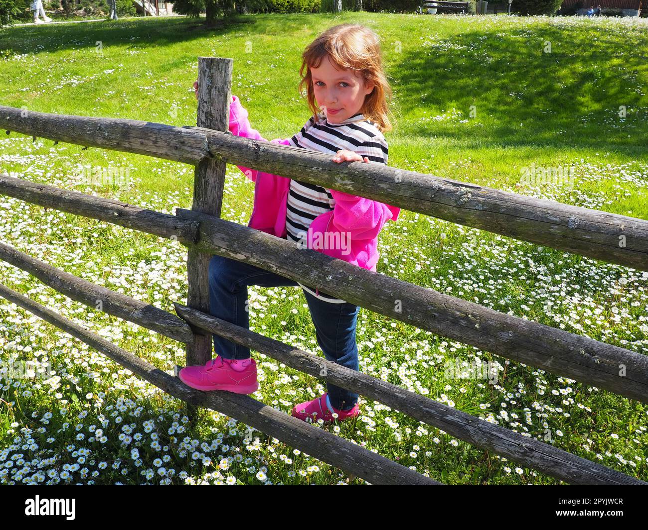 Stanisici, Bijelina, Bosnia and Herzegovina, April 25, 2021. A 7-year-old girl in a pink sweater, jeans and a striped blouse stands near a wooden rural fence and smiles. Meadow with wildflowers Stock Photo