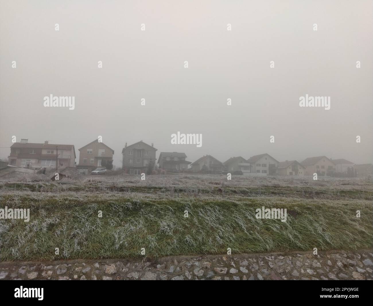 A cold winter day in the countryside. The grass is covered with hoarfrost. Thick fog. In the background residential buildings Stock Photo