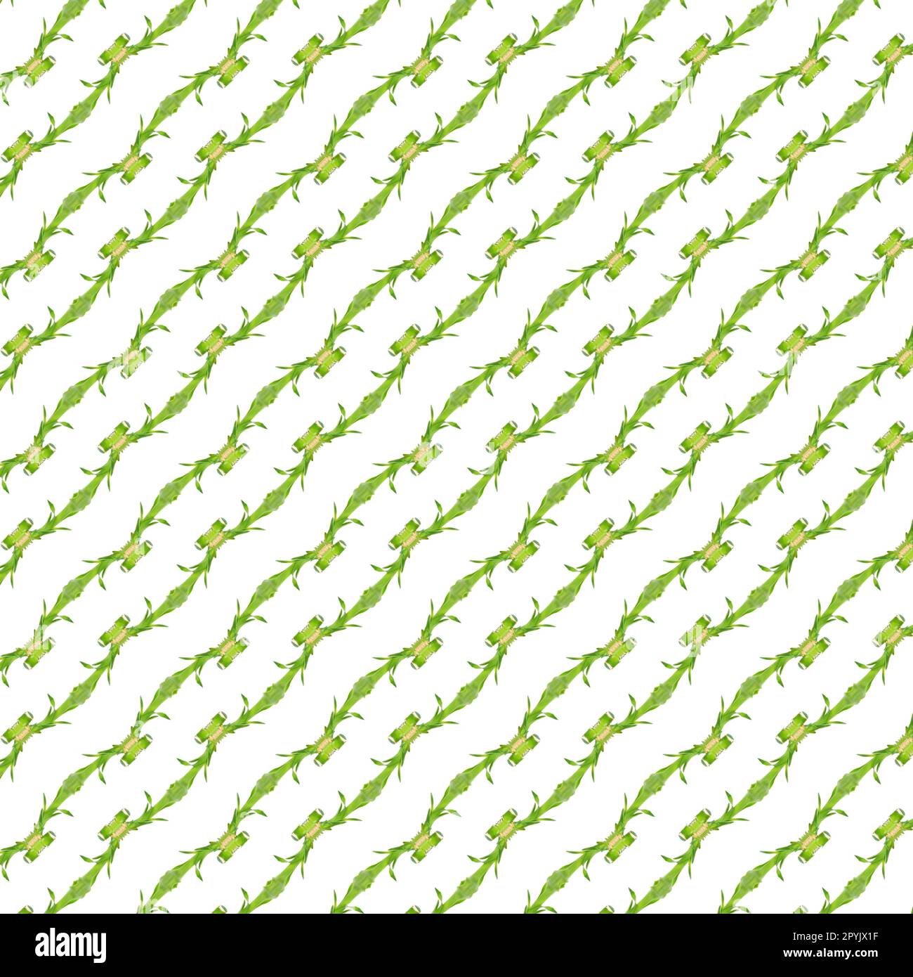 Abstract pattern of the green flora Stock Photo