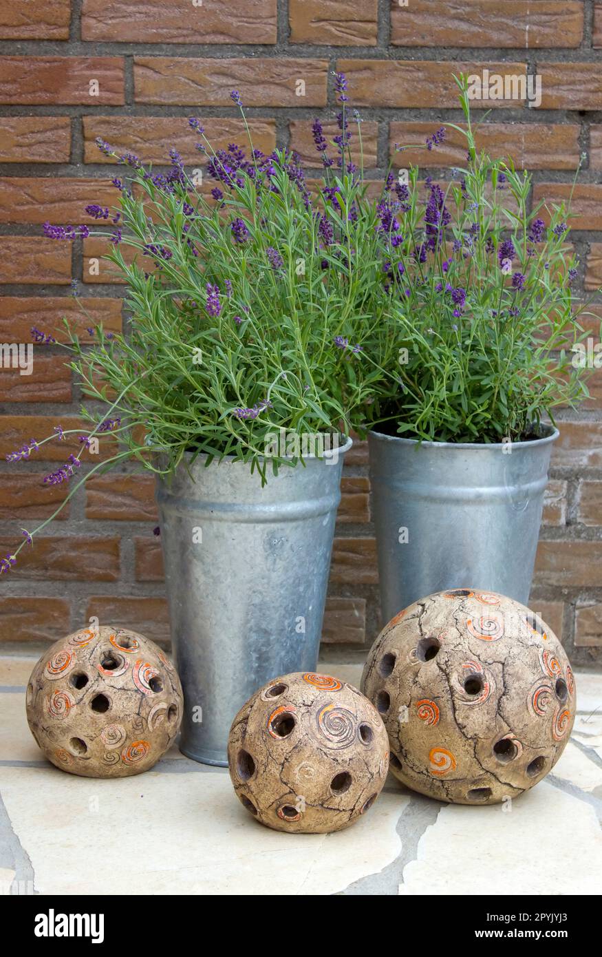 lavender flowers in metal pots and clay deco Stock Photo