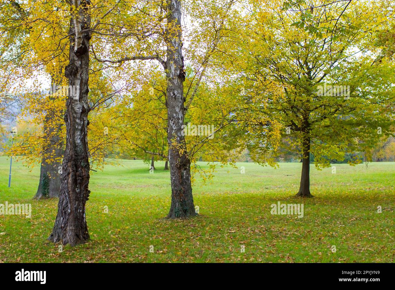 autumn in Toscana Park in Gmunden, Austria Stock Photo