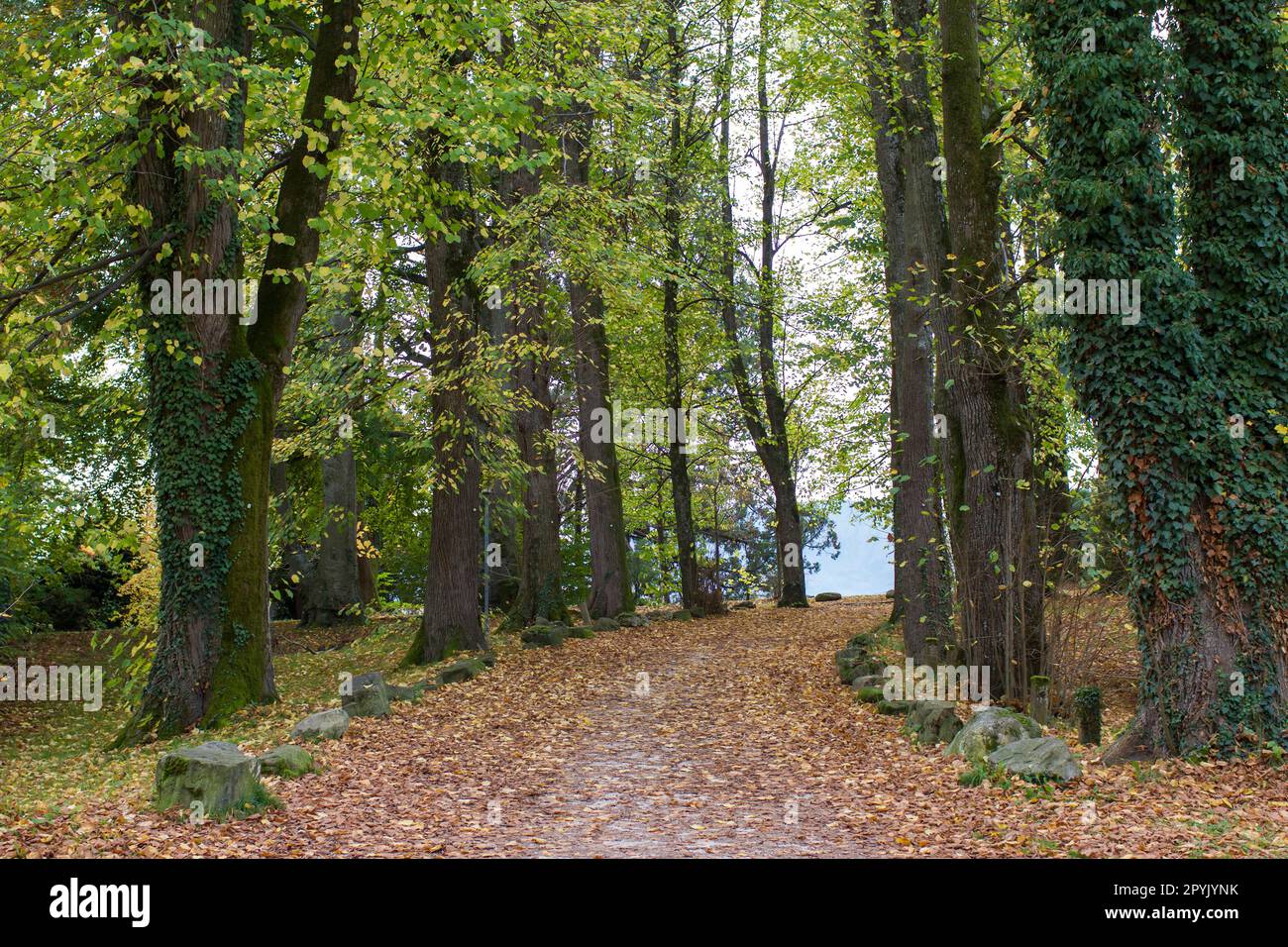 autumn in Toscana Park in Gmunden, Austria Stock Photo