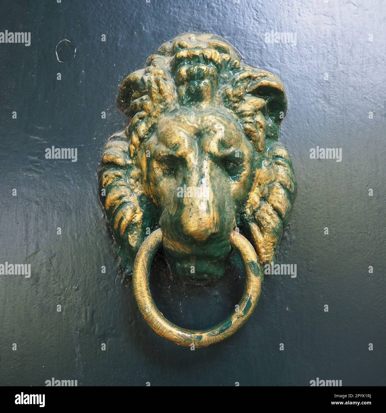 A door knocker is a fixture on the front door of a house. It is made of metal and has the form of a ring, which is knocked on the metal part of the door knocker fixed to the wall. Muzzle of a lion. Stock Photo