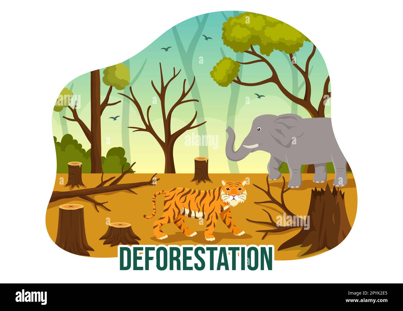 Deforestation Illustration with Tree in the Felled Forest and Burning Into Pollution Causing the Extinction of Animals in Cartoon Hand Drawn Templates Stock Photo
