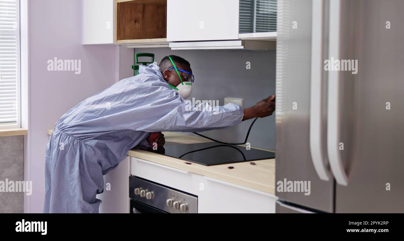 Man Showing At Pest Control Worker Spraying Insecticide On Shelf Of