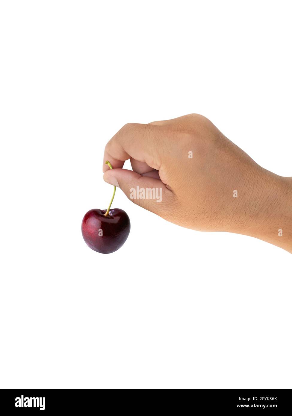 Hand holding the cherry on white background Stock Photo