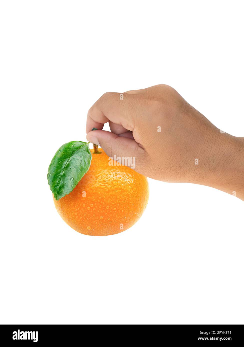 Hand holding citrus hi-res stock photography and images - Alamy