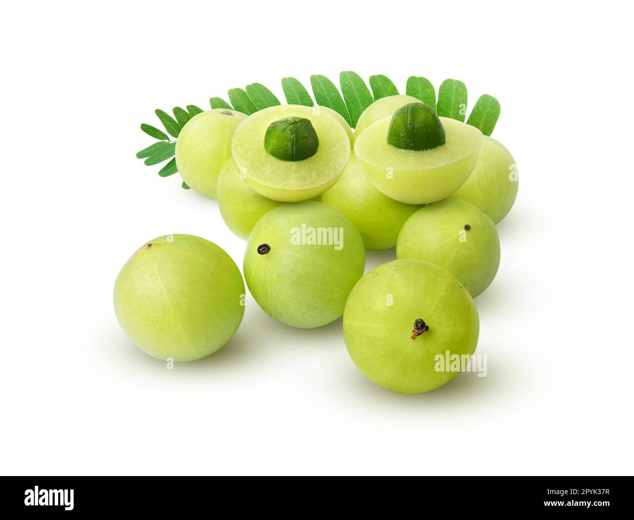 Indian gooseberry or Phyllanthus emblica With leaves, isolated on white background Stock Photo