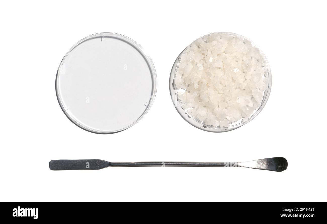 Flake salt in Petri dish with plastic lid placed next to the stainless spatula on laboratory table. Chemical ingredient for Cosmetics and Toiletries p Stock Photo