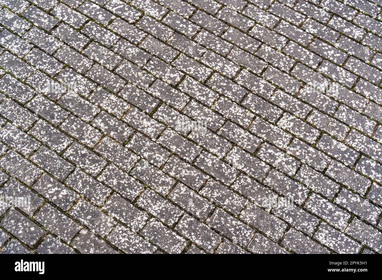 Stone pavement texture Stock Photo Alamy