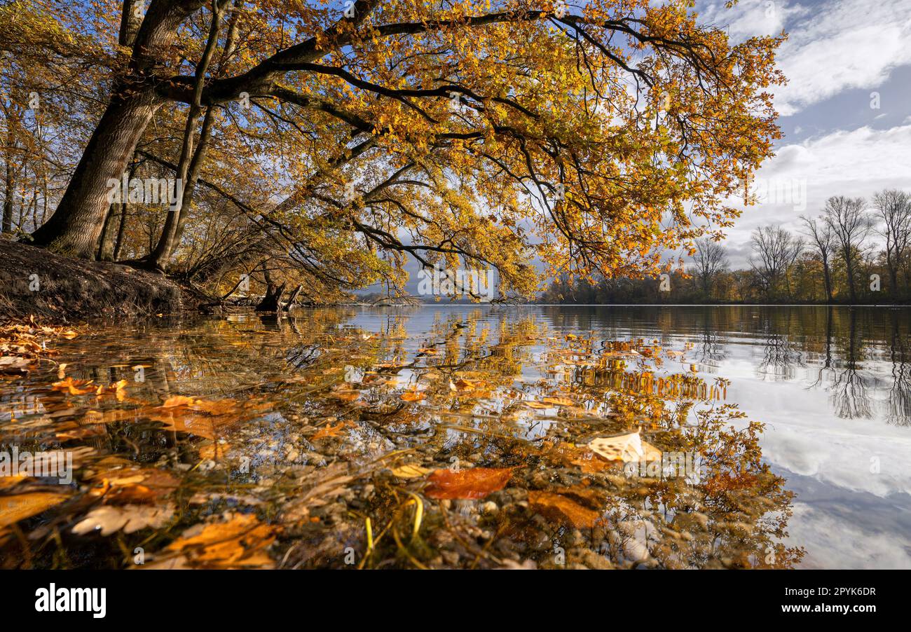 Unterbach lake, Dusseldorf, Germany Stock Photo