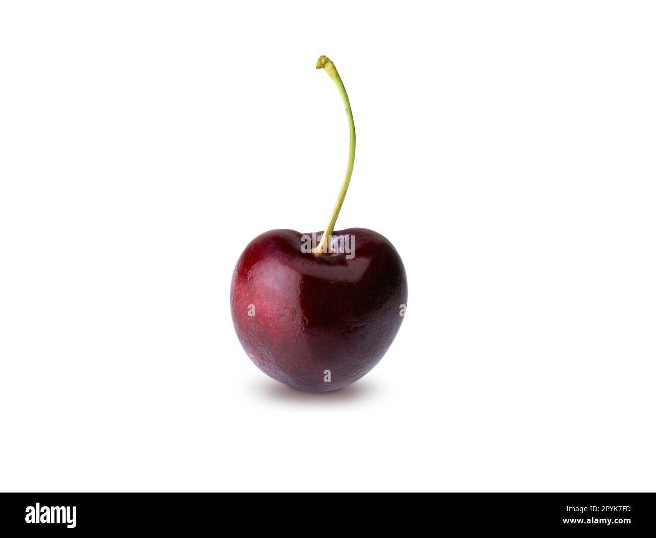 Cherry Isolated on White Background Stock Photo