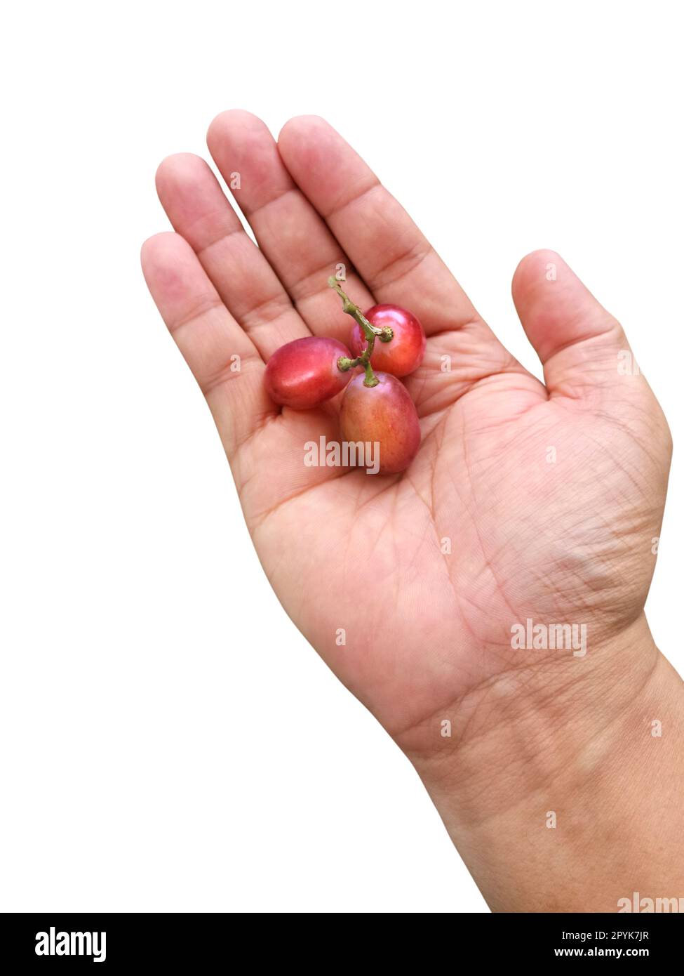 Grape fruit isolated on white background Stock Photo