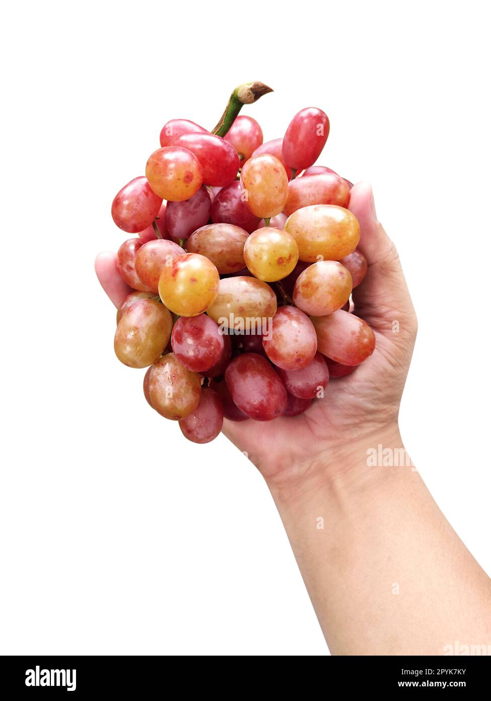 Grape fruit isolated on white background Stock Photo